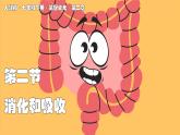 2024-2025學(xué)年人教版生物七年級下冊 4.2.2 消化和吸收  課件