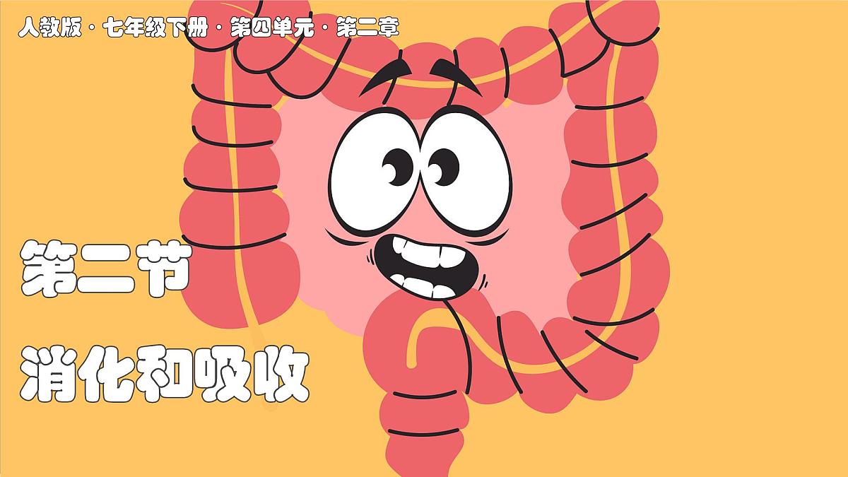 2024-2025学年人教版生物七年级下册 4.2.2 消化和吸收  课件第1页
