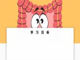 2024-2025學(xué)年人教版生物七年級下冊 4.2.2 消化和吸收  課件
