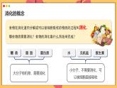 2024-2025學(xué)年人教版生物七年級下冊 4.2.2 消化和吸收  課件