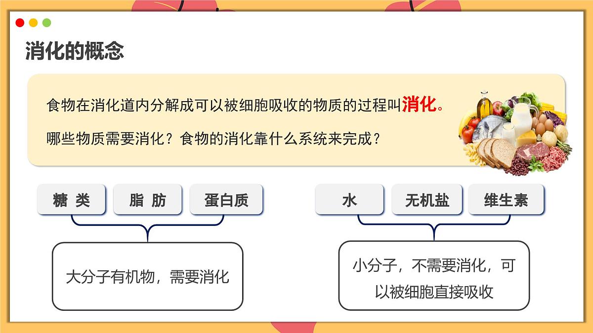 2024-2025学年人教版生物七年级下册 4.2.2 消化和吸收  课件第4页