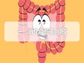 2024-2025學(xué)年人教版生物七年級下冊 4.2.2 消化和吸收  課件
