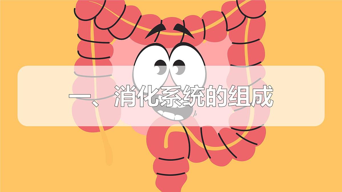 2024-2025学年人教版生物七年级下册 4.2.2 消化和吸收  课件第5页