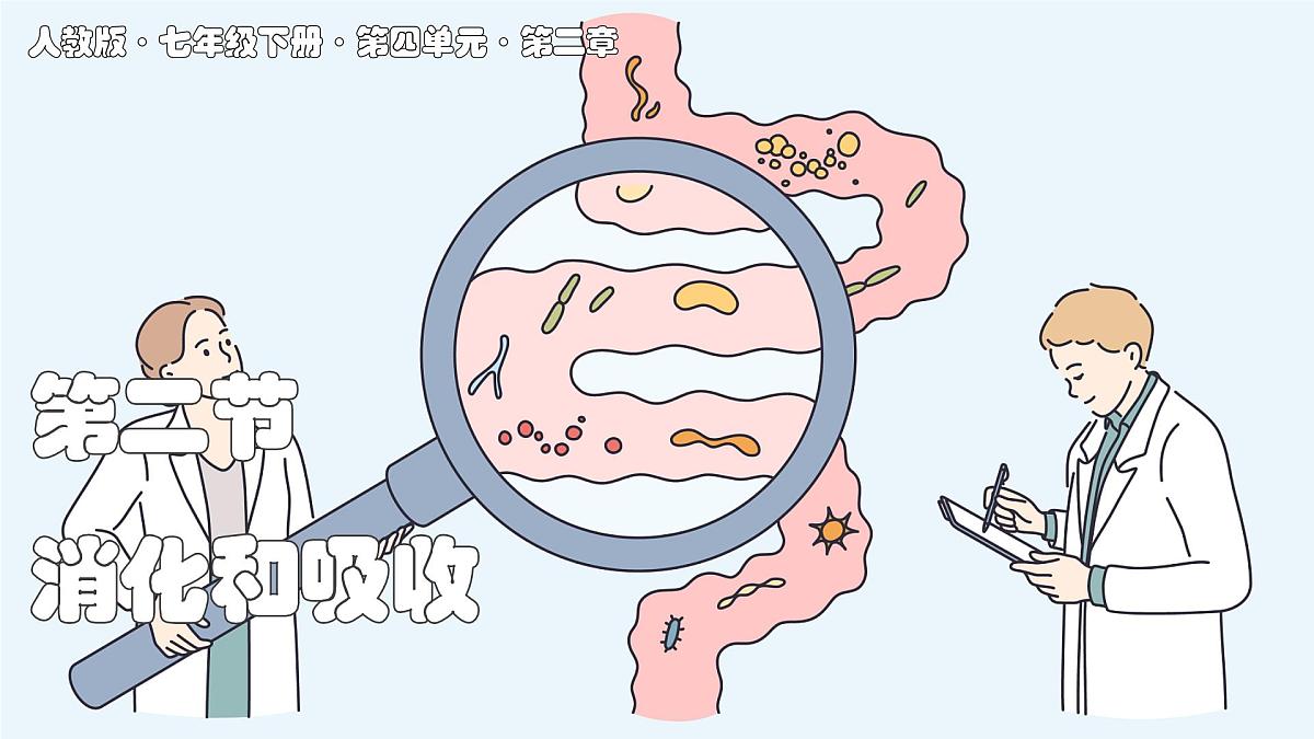 2024-2025学年人教版生物七年级下册 4.2.2 消化和吸收 课件第1页