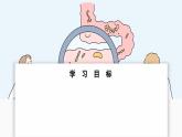 2024-2025學(xué)年人教版生物七年級下冊 4.2.2 消化和吸收 課件