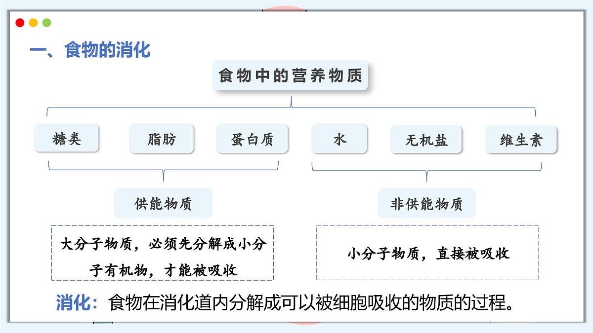 2024-2025学年人教版生物七年级下册 4.2.2 消化和吸收 课件第4页