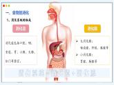 2024-2025學(xué)年人教版生物七年級下冊 4.2.2 消化和吸收 課件