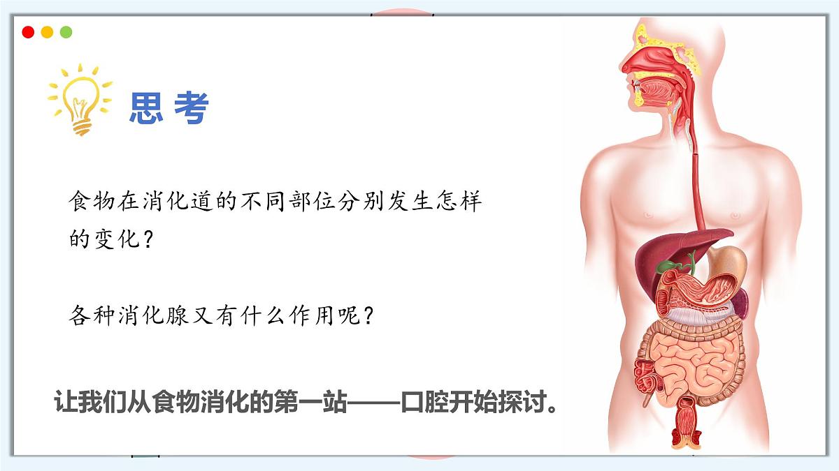 2024-2025学年人教版生物七年级下册 4.2.2 消化和吸收 课件第7页