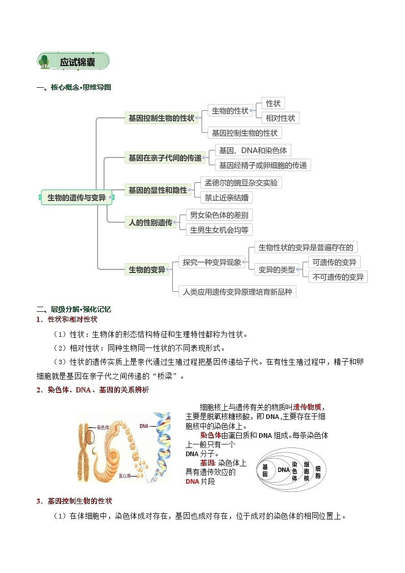 2025年中考考前冲刺攻略教案：生物（四）(解析版)第3页