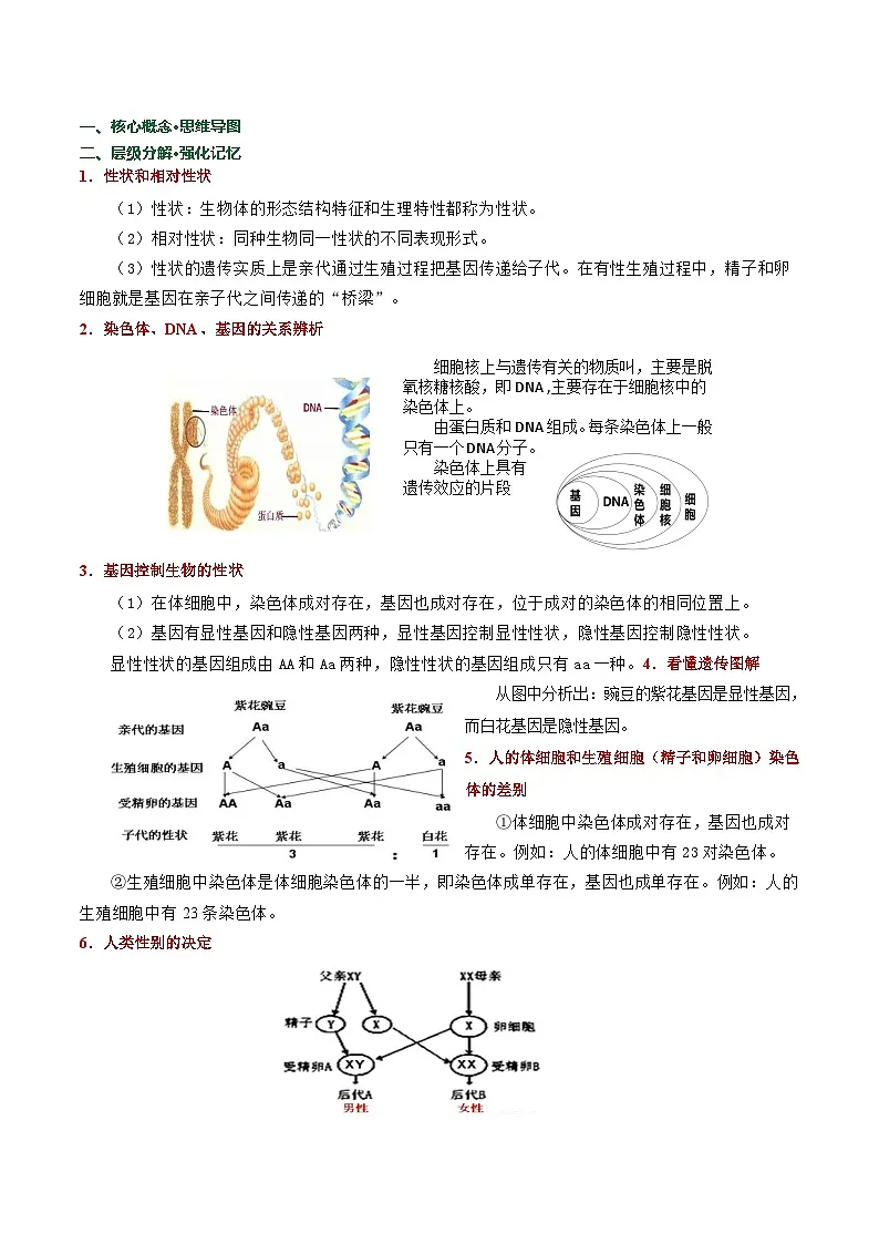 2025年中考考前冲刺攻略教案：生物（四）(原卷版)第3页