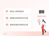 2024-2025學(xué)年人教版生物七年級(jí)下冊(cè) 4.5  人體內(nèi)廢物的排出 課件