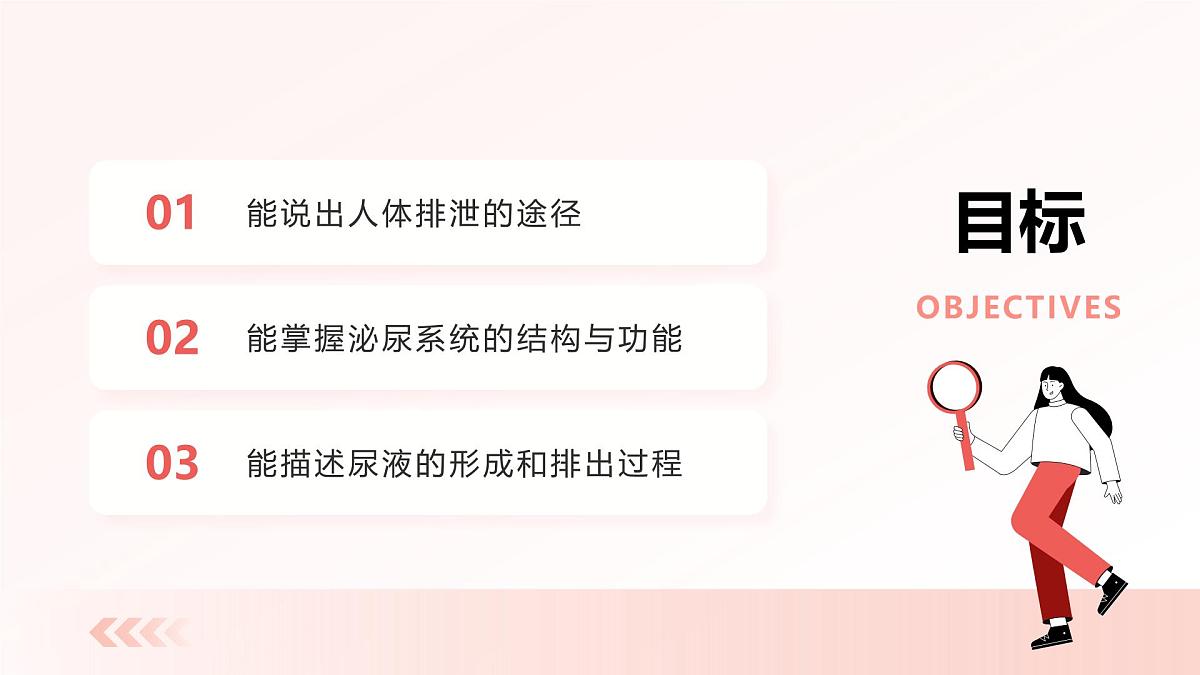 2024-2025学年人教版生物七年级下册 4.5 人体内废物的排出 课件第2页