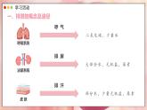 2024-2025學(xué)年人教版生物七年級(jí)下冊(cè) 4.5  人體內(nèi)廢物的排出 課件