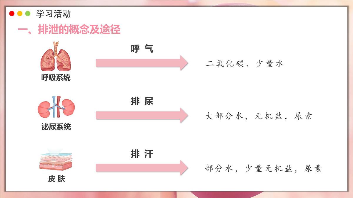 2024-2025学年人教版生物七年级下册 4.5 人体内废物的排出 课件第5页