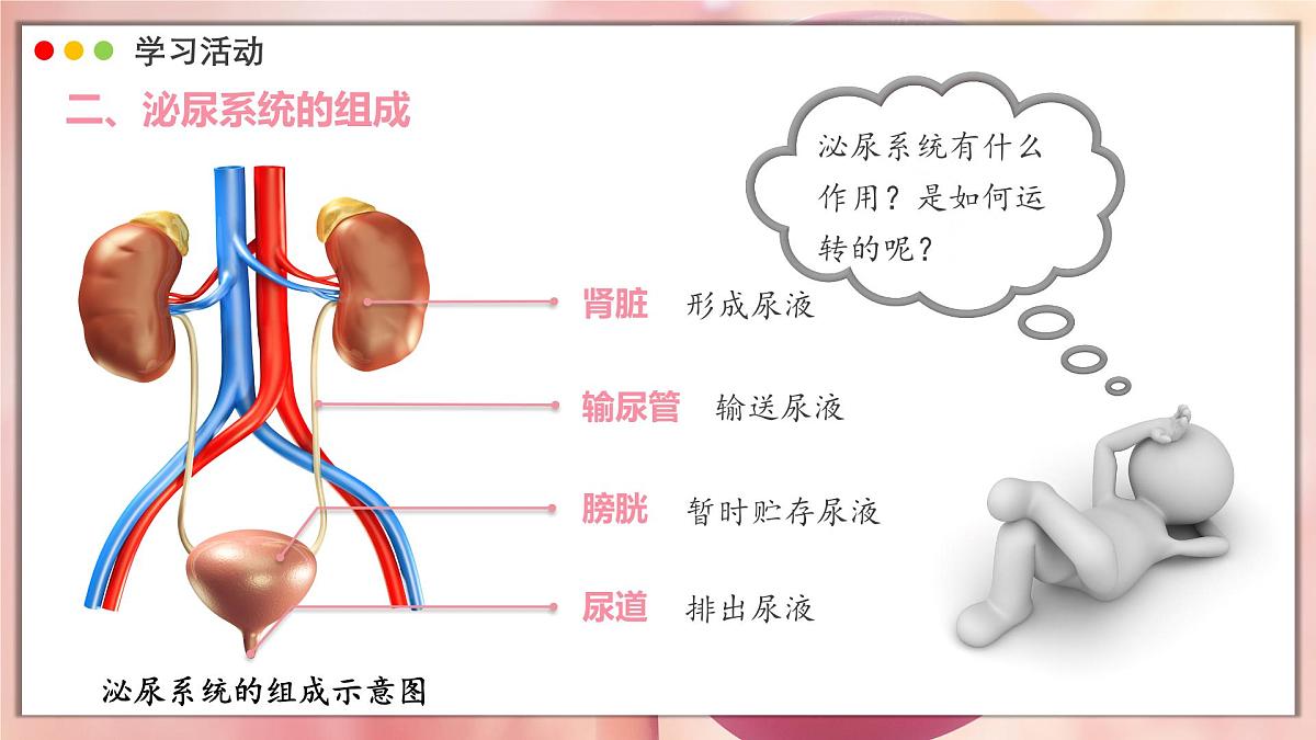 2024-2025学年人教版生物七年级下册 4.5 人体内废物的排出 课件第6页