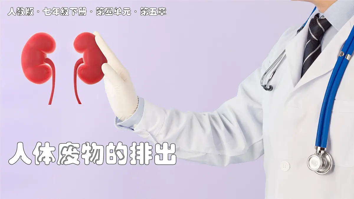 2024-2025学年人教版生物七年级下册 4.5 人体内废物的排出 课件第1页