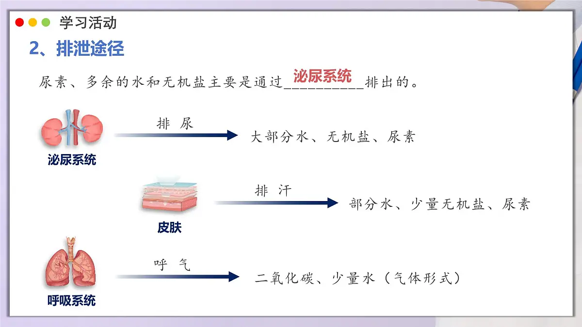 2024-2025学年人教版生物七年级下册 4.5 人体内废物的排出 课件第6页