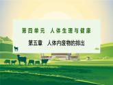 2024-2025學(xué)年人教版生物七年級(jí)下冊(cè) 4.5人體內(nèi)廢物的排出 課件