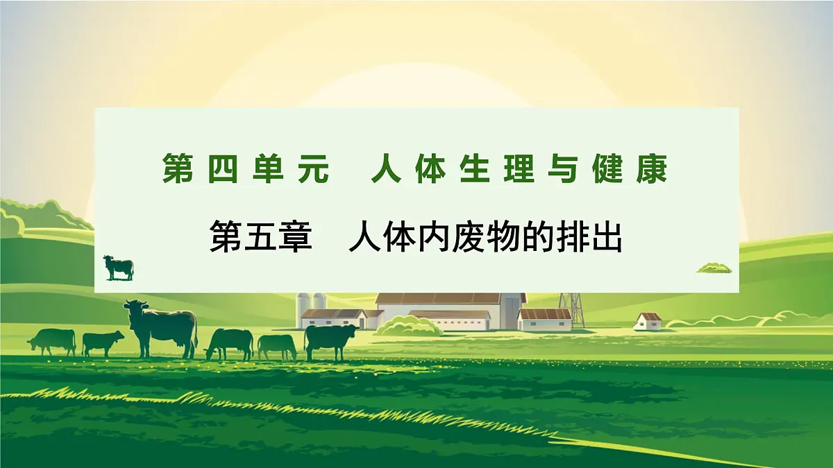 2024-2025学年人教版生物七年级下册 4.5人体内废物的排出 课件第1页
