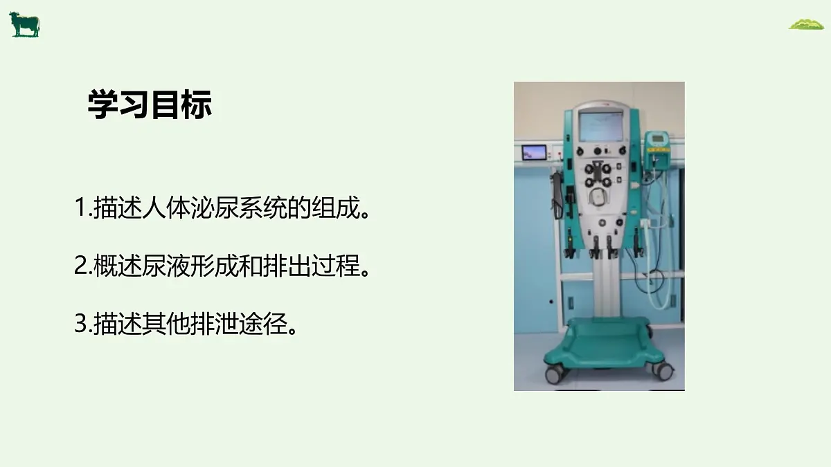 2024-2025学年人教版生物七年级下册 4.5人体内废物的排出 课件第2页