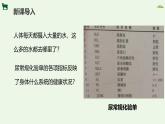 2024-2025學(xué)年人教版生物七年級(jí)下冊(cè) 4.5人體內(nèi)廢物的排出 課件