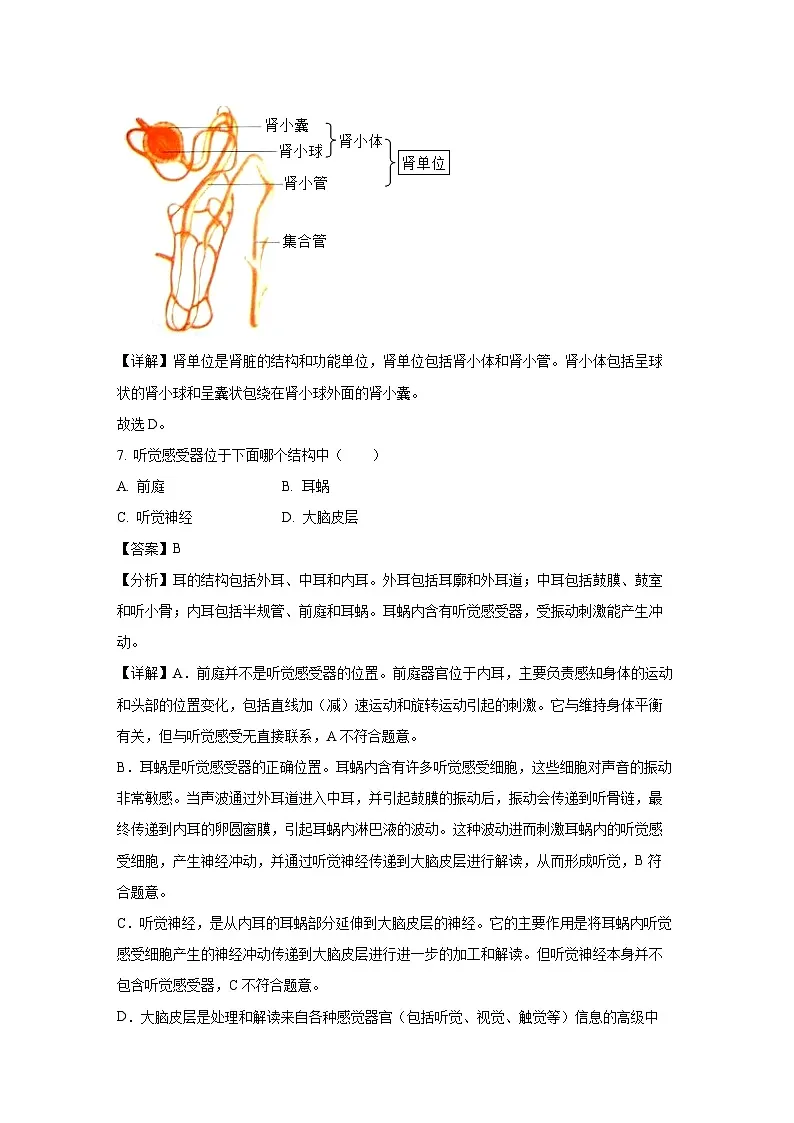 辽宁省丹东市凤城市2023-2024学年七年级下学期期末生物试题（解析版）第3页
