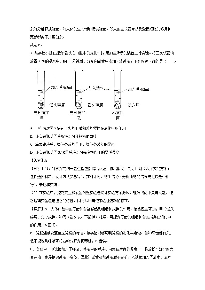 海南省省直辖县级行政单位澄迈县2023-2024学年七年级下学期期末生物试题（解析版）第2页