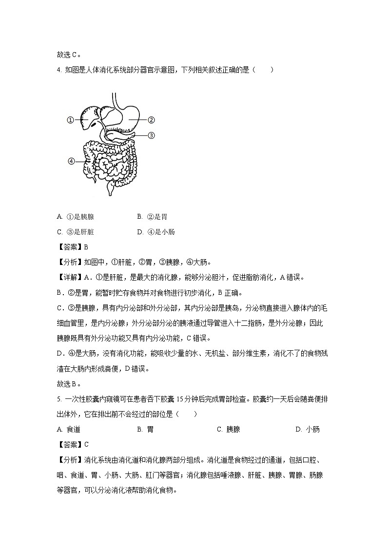 广东省珠海市金湾区2023-2024学年七年级下学期期末生物试题（解析版）第3页