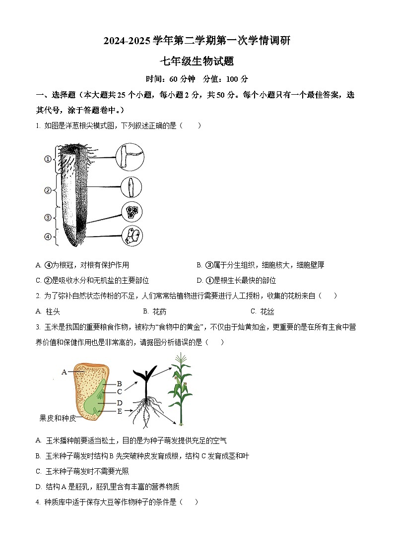 山东省聊城市多校2024-2025学年七年级下学期3月月考生物试题（原卷版+解析版）第1页