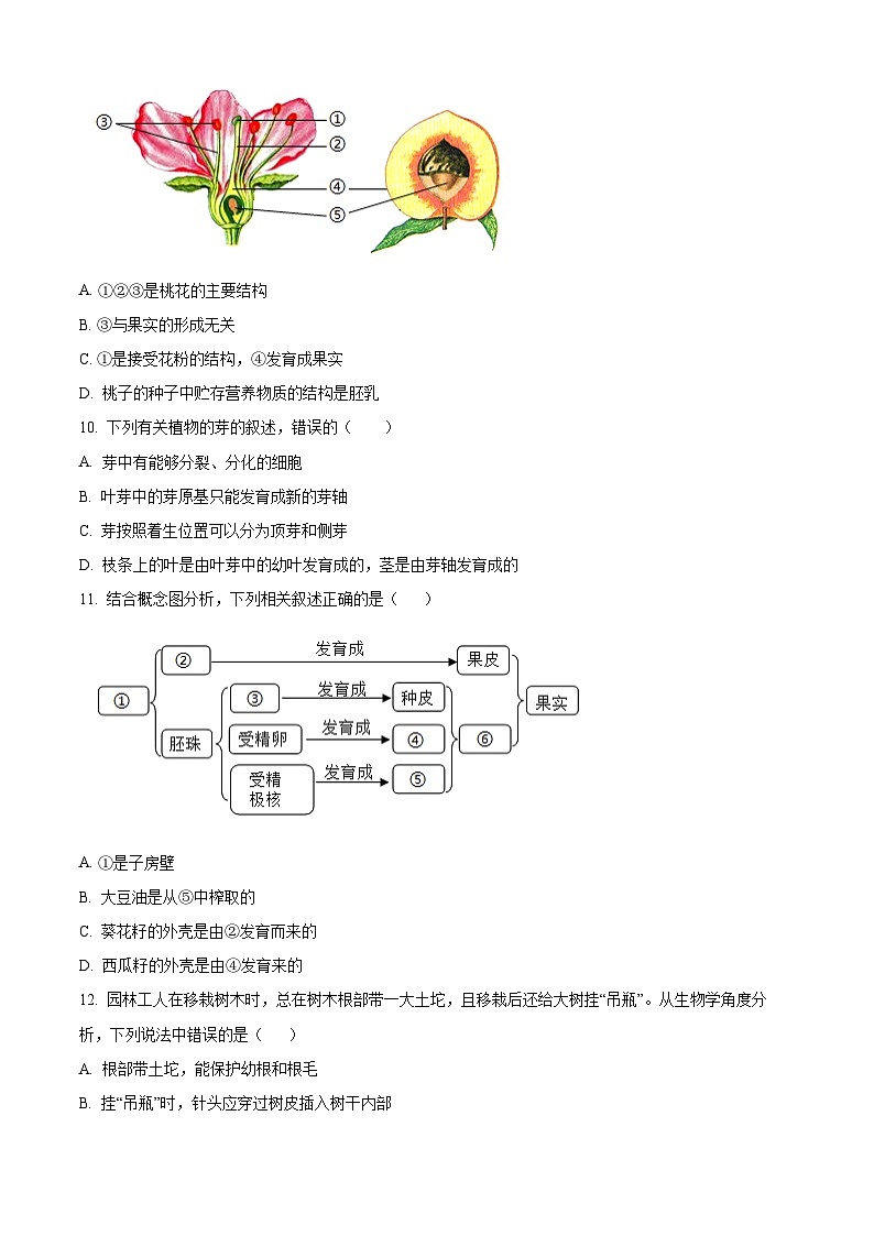 山东省聊城市多校2024-2025学年七年级下学期3月月考生物试题（原卷版+解析版）第3页