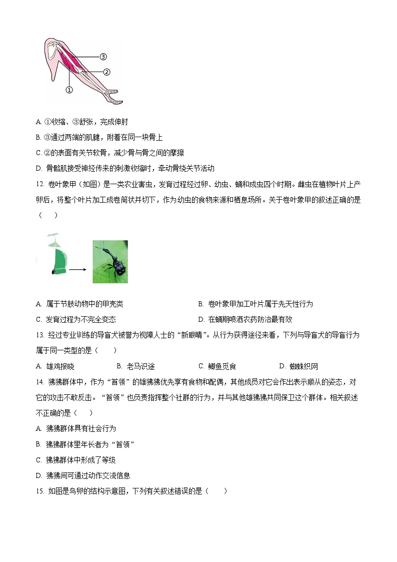 山东省威海市乳山市（五四制）2024-2025学年八年级上学期期末生物试题（原卷版+解析版）第3页
