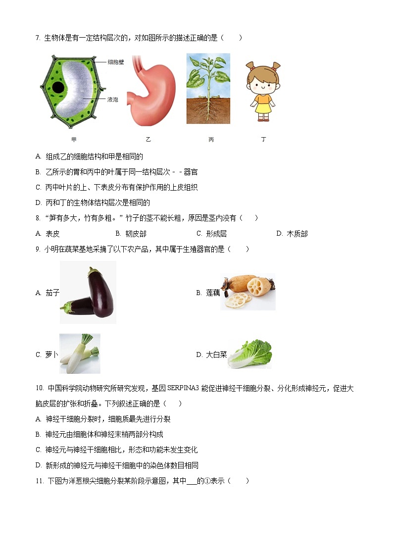山西大学附中2024-2025学年八年级下学期3月月考生物试题（原卷版+解析版）第2页