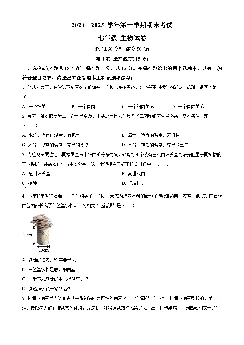 山西省大同市新荣区两校联考2024-2025学年七年级上学期期末生物试题（原卷版+解析版）第1页