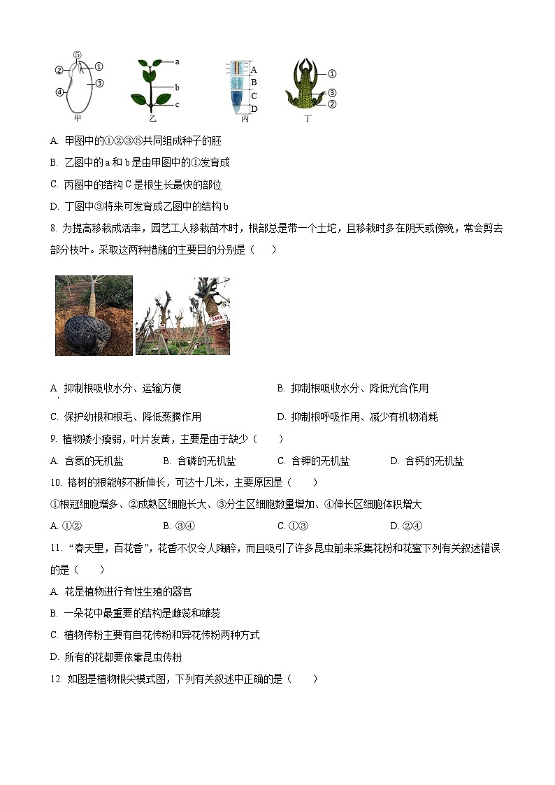 山西省临汾市部分学校2024-2025学年七年级下学期3月月考生物试题（原卷版+解析版）第3页