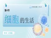 人教版2024七年級(jí)上冊(cè)生物《細(xì)胞的生活》 課件
