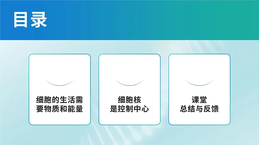人教版2024七年级上册生物《细胞的生活》 课件第4页