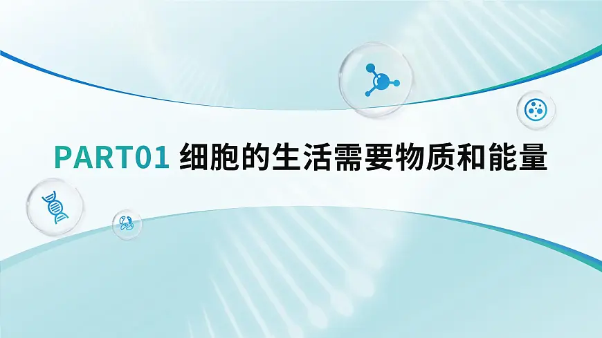 人教版2024七年级上册生物《细胞的生活》 课件第5页