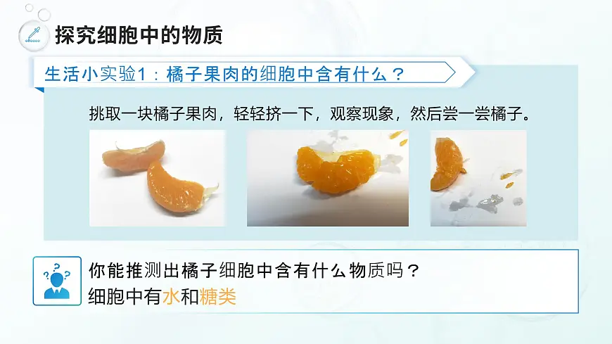 人教版2024七年级上册生物《细胞的生活》 课件第6页