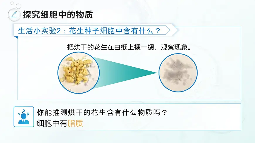 人教版2024七年级上册生物《细胞的生活》 课件第7页