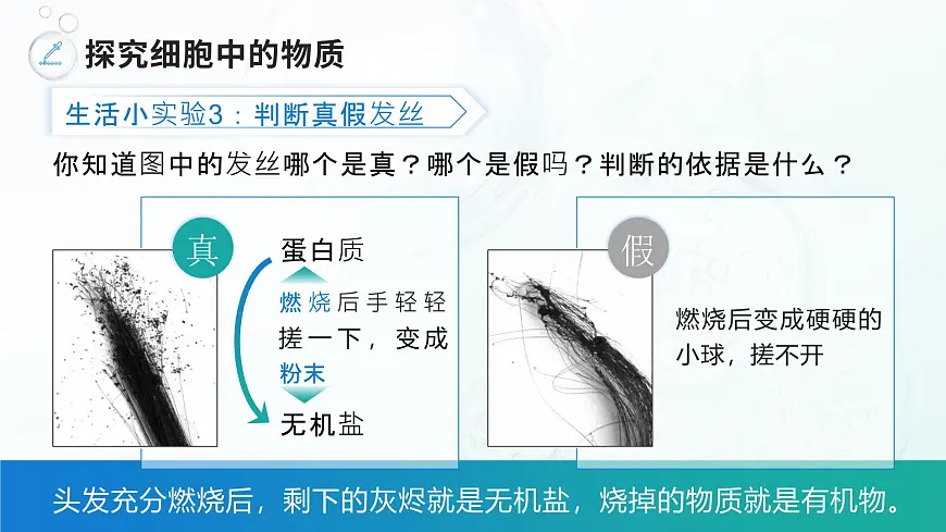 人教版2024七年级上册生物《细胞的生活》 课件第8页