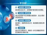 人教版2024七年級上冊生物《細(xì)胞通過分裂產(chǎn)生新細(xì)胞》 課件