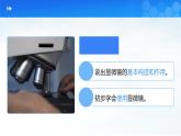 人教版2024七年級(jí)上冊(cè)生物《學(xué)習(xí)使用顯微鏡》 課件