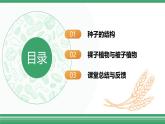 人教版2024七年級上冊生物《種子植物》 課件