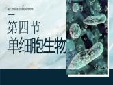 人教版2024七年級(jí)上冊(cè)生物單細(xì)胞生物 課件