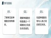人教版2024七年級(jí)上冊(cè)生物單細(xì)胞生物 課件