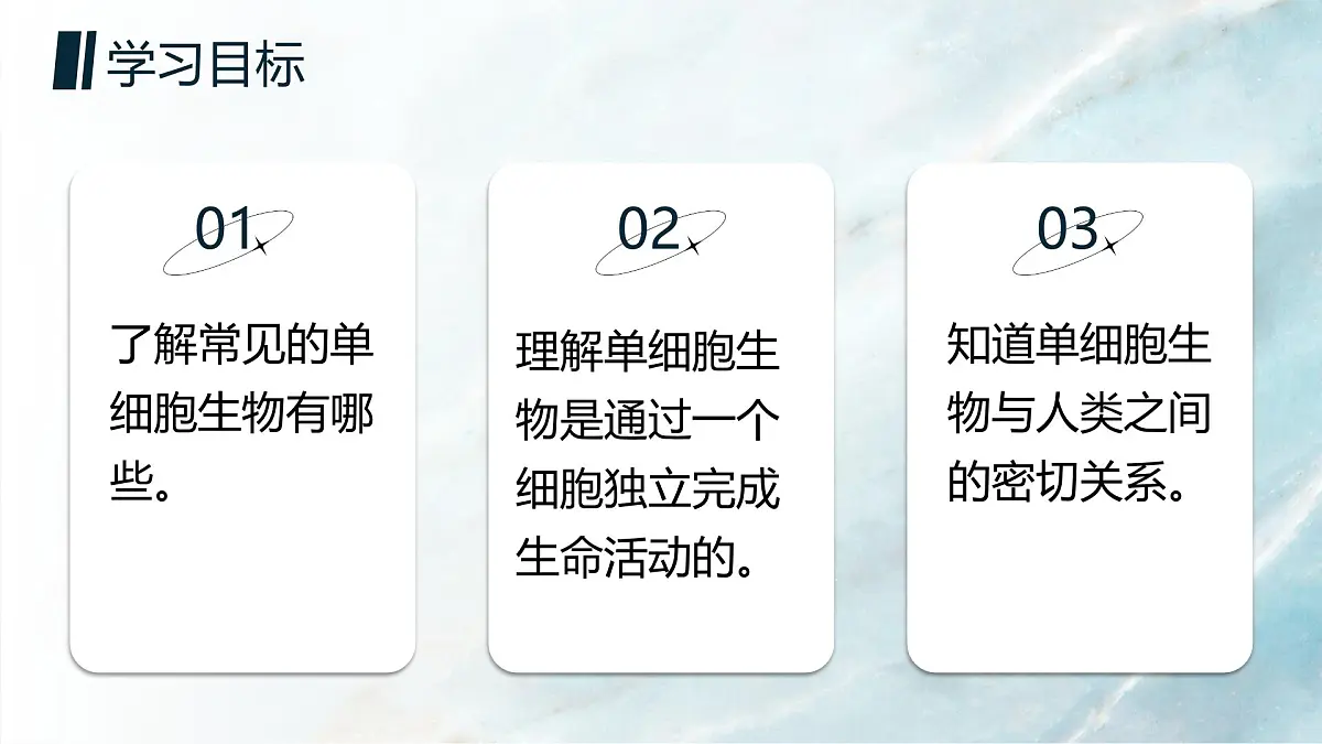 人教版2024七年级上册生物单细胞生物 课件第2页