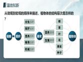 人教版2024七年級(jí)上冊(cè)生物單細(xì)胞生物 課件