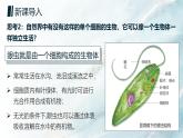 人教版2024七年級(jí)上冊(cè)生物單細(xì)胞生物 課件
