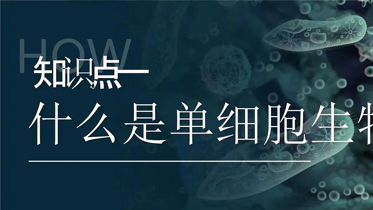 人教版2024七年级上册生物单细胞生物 课件第6页