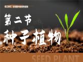 人教版2024七年級上冊生物種子植物 課件